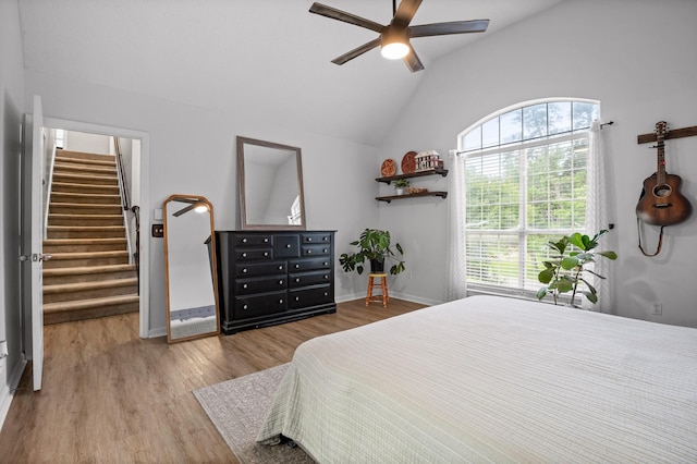 2321 Chimney Hills Dr, Soddy Daisy, TN 37379 - bedroom with multiple windows, wood finished floors, a spacious closet, ceiling fan, and high vaulted ceiling