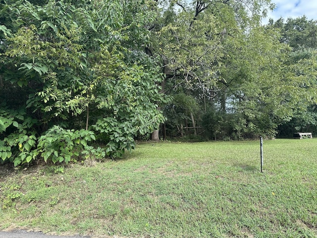 0 Main St, Henry, TN 38231