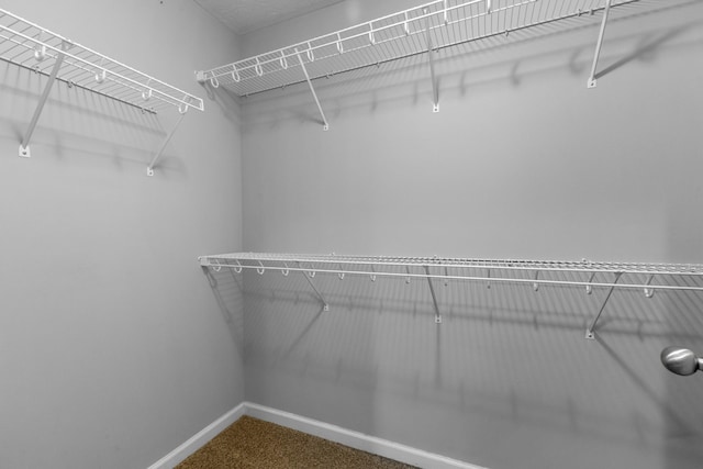 walk in closet featuring carpet floors