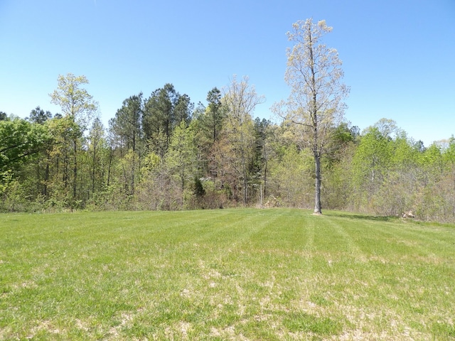 520 Young Rd, Waverly, TN 37185 - view of yard with a view of trees
