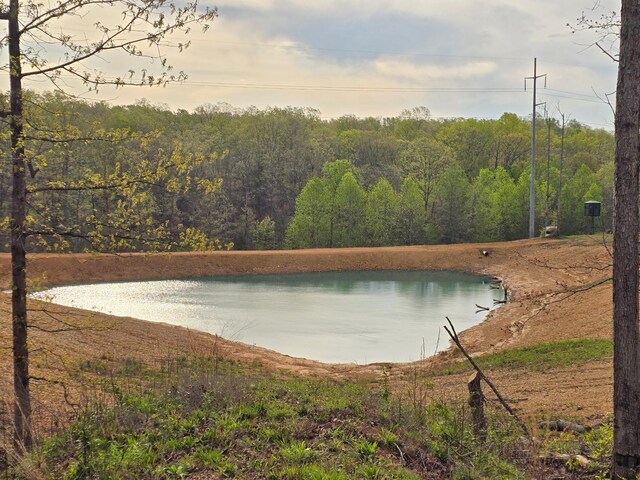 520 Young Rd, Waverly, TN 37185 - water view with a wooded view