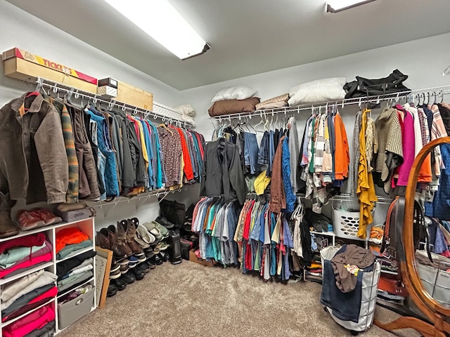 110 Giles Ln, Gallatin, TN 37066 - walk in closet featuring carpet floors