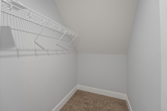 walk in closet featuring dark colored carpet
