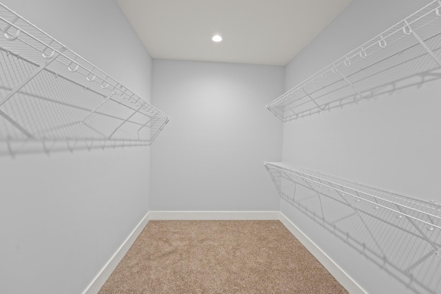 walk in closet with carpet
