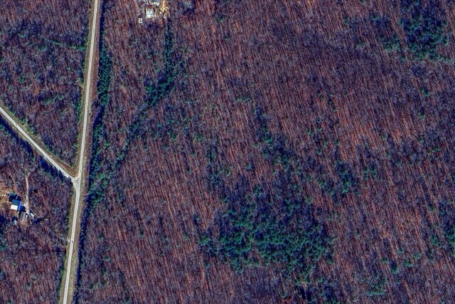 0 Turkey Track Rd, Altamont, TN 37301