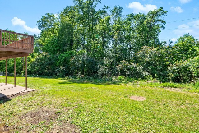 33 Walker Cir, Clarksville, TN 37042 - photo 48