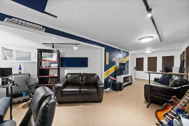 living area featuring carpet floors, baseboards, crown molding, and track lighting