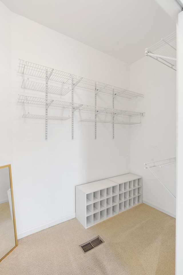 spacious closet featuring carpet floors and visible vents