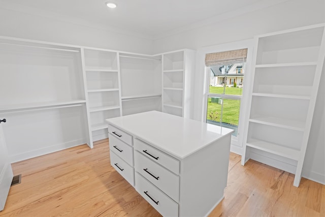 6913 Pembrooke Farms Dr, Murfreesboro, TN 37129 - spacious closet with light wood-style floors