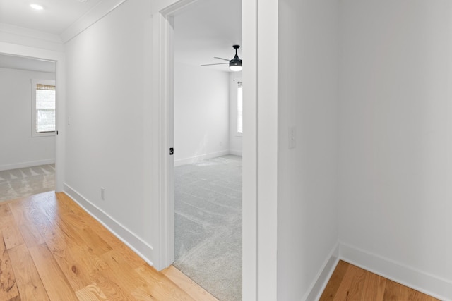 6913 Pembrooke Farms Dr, Murfreesboro, TN 37129 - corridor with light wood-style floors, baseboards, and ornamental molding