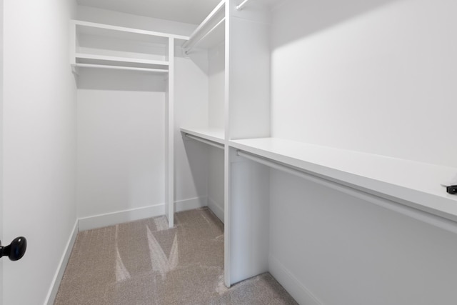 6913 Pembrooke Farms Dr, Murfreesboro, TN 37129 - walk in closet with light carpet