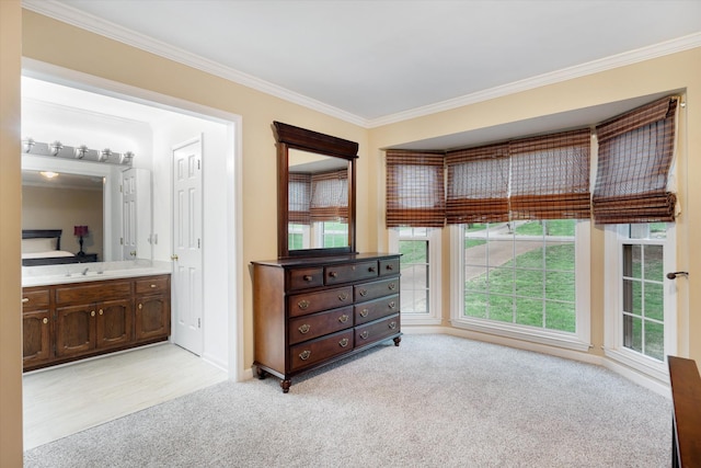 bedroom featuring ornamental molding, baseboards, multiple windows, and light carpet