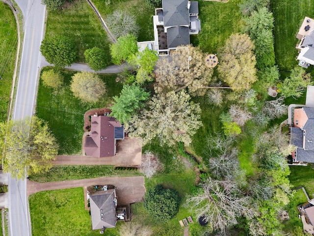 bird's eye view