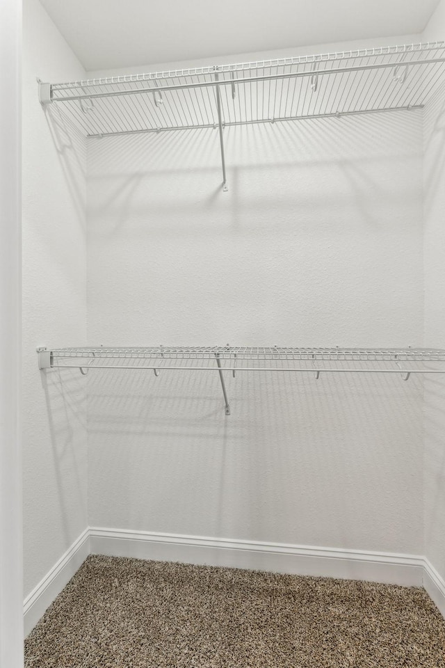 48 Gratton Ests, Clarksville, TN 37043 - walk in closet with carpet