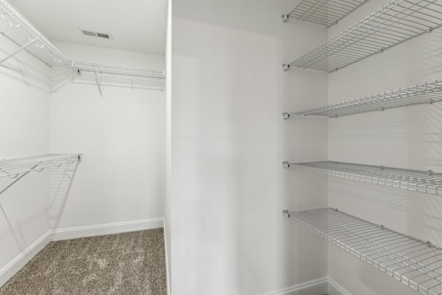 48 Gratton Ests, Clarksville, TN 37043 - spacious closet featuring visible vents and carpet floors
