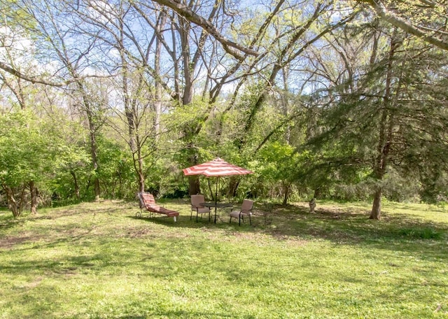 1823 Willow Springs Dr, Nashville, TN 37216 - photo 24