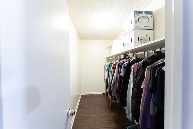 walk in closet featuring wood finished floors