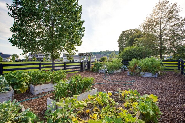 7533 Delancey Dr, College Grove, TN 37046 - photo 74