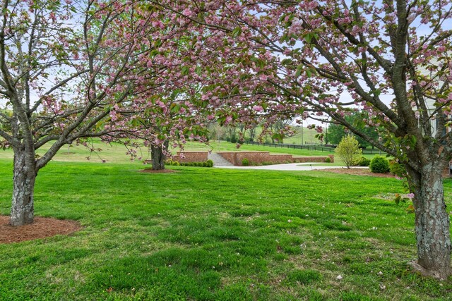 4535 Peytonsville Rd, Franklin, TN 37064 - view of yard