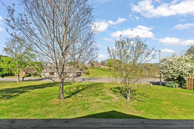 910 Greenview Dr, Fayetteville, TN 37334 - photo 50