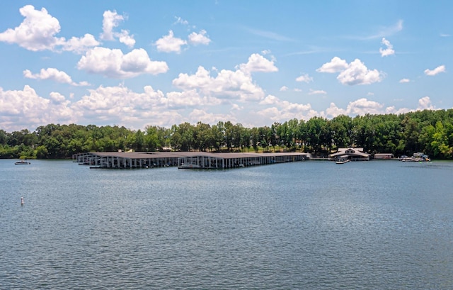 50 Pontoon Pl, Winchester, TN 37398 - photo 66