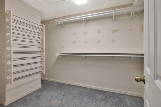 spacious closet with attic access and carpet flooring