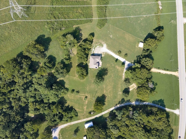 bird's eye view