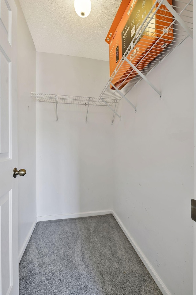 walk in closet with carpet flooring