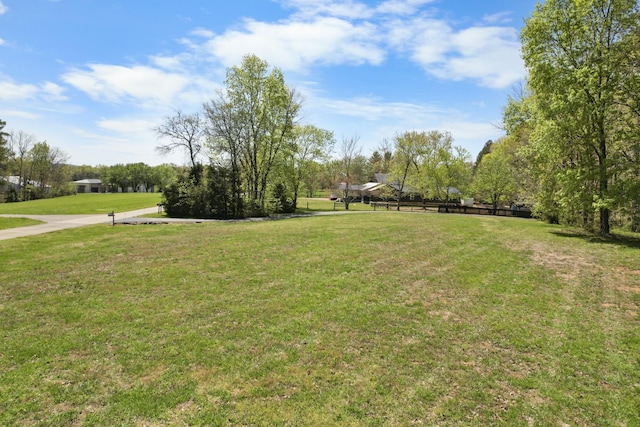 view of yard