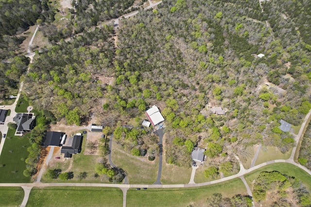 drone / aerial view
