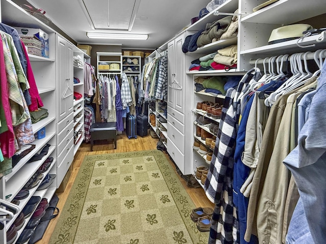 spacious closet featuring light wood-type flooring and attic access