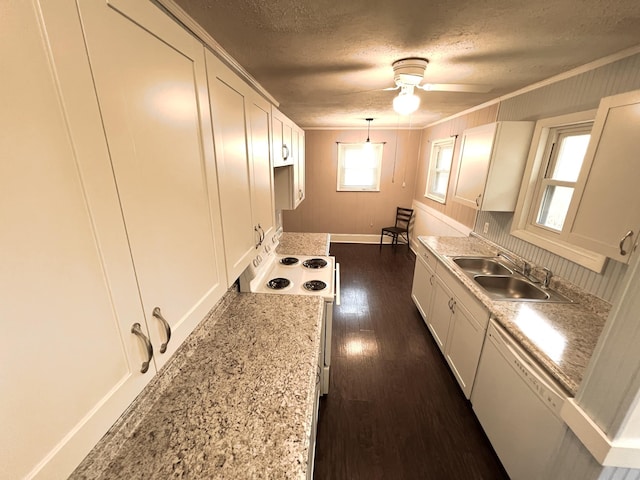 7459 Horn Tavern Rd, Fairview, TN 37062 - kitchen with crown molding, white appliances, a textured ceiling, a ceiling fan, and a sink