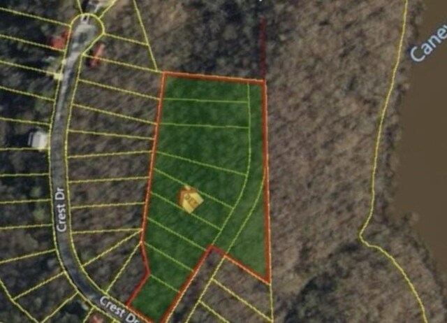 0 Stacey Rd, Smithville, TN 37166 - photo 9