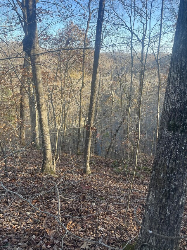 0 Stacey Rd, Smithville, TN 37166 - photo 15
