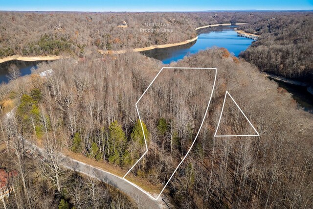 0 Stacey Rd, Smithville, TN 37166 - photo 6
