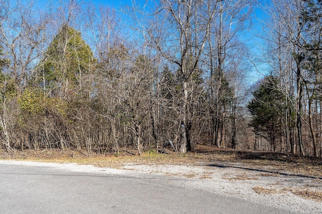 0 Stacey Rd, Smithville, TN 37166 - photo 11
