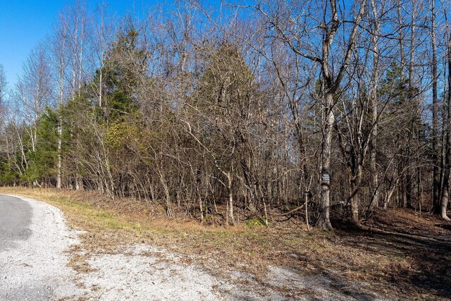 0 Stacey Rd, Smithville, TN 37166 - photo 12