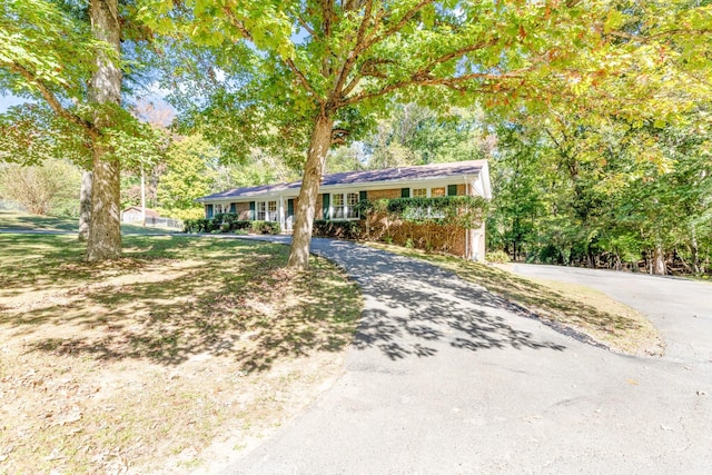 single story home featuring curved driveway