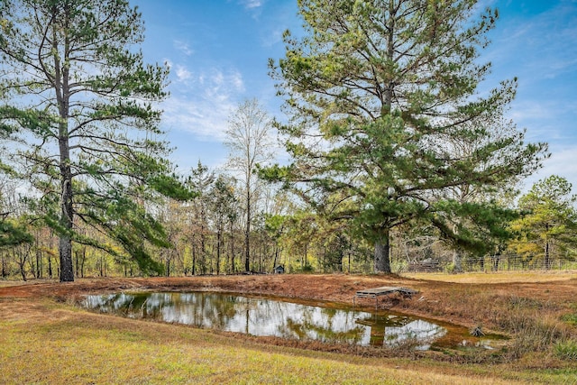 1925 Ike Adcock Rd, Smithville, TN 37166 - photo 29