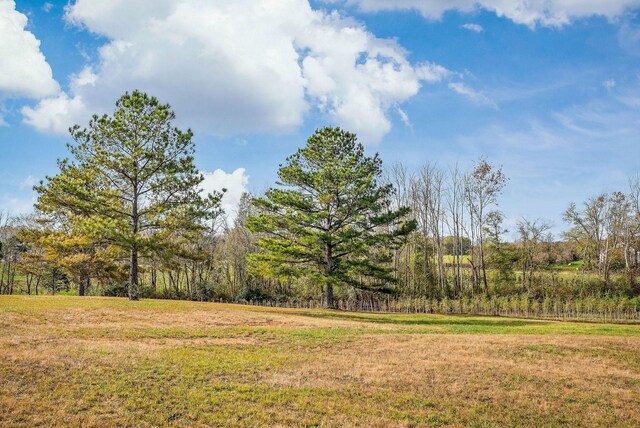 1925 Ike Adcock Rd, Smithville, TN 37166 - photo 30