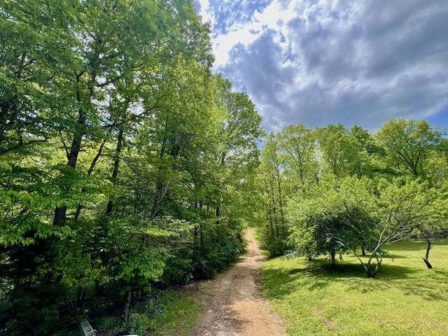 5199 Nelson Rd, Westpoint, TN 38486 - view of road with a forest view