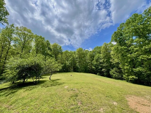 5199 Nelson Rd, Westpoint, TN 38486 - view of yard