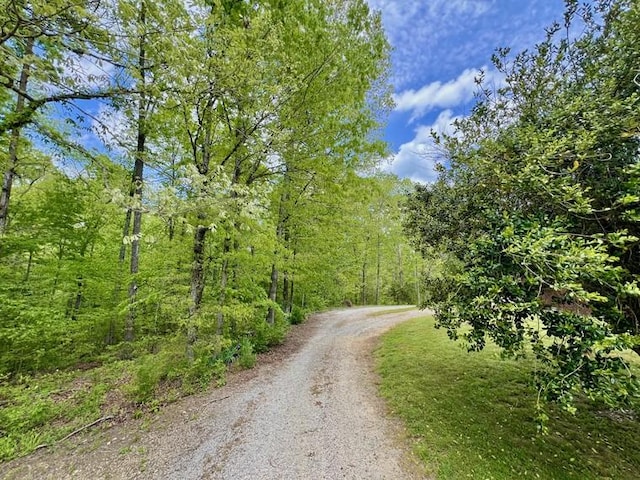 5199 Nelson Rd, Westpoint, TN 38486 - view of road with a wooded view