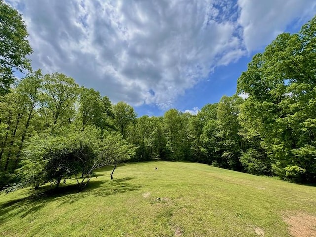5199 Nelson Rd, Westpoint, TN 38486 - view of yard