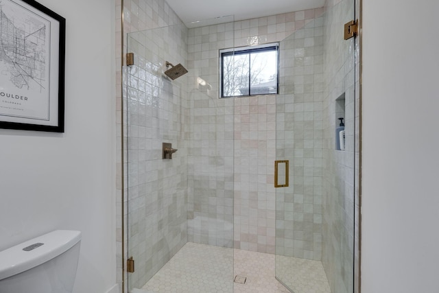 full bathroom with toilet and a stall shower