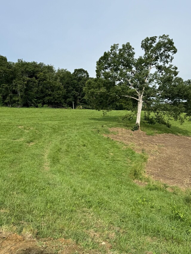 0 Oak Grove Rd, Red Boiling Springs, TN 37150 - photo 2