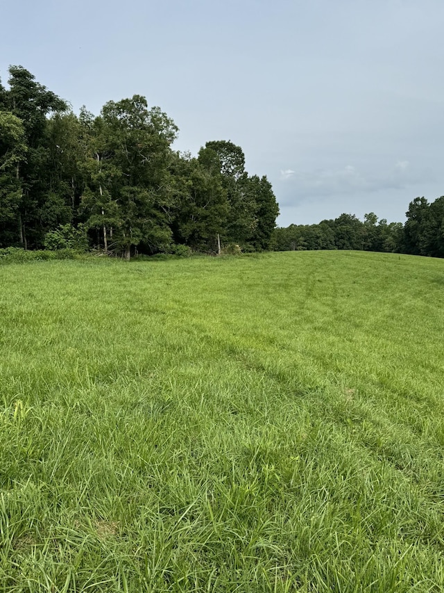 0 Oak Grove Rd, Red Boiling Springs, TN 37150 - photo 1