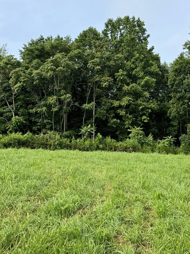 0 Oak Grove Rd, Red Boiling Springs, TN 37150 - photo 3