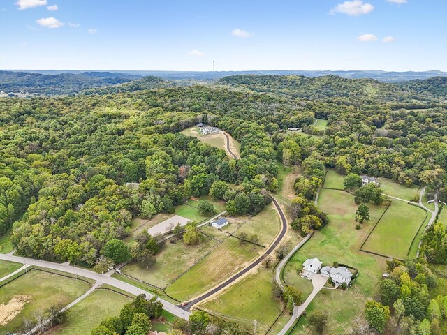6490 Peytonsville Arno Rd, College Grove, TN 37046 - aerial view with a view of trees