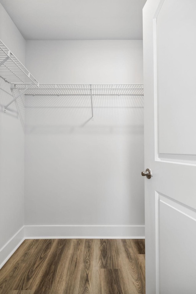 spacious closet featuring dark wood-style flooring